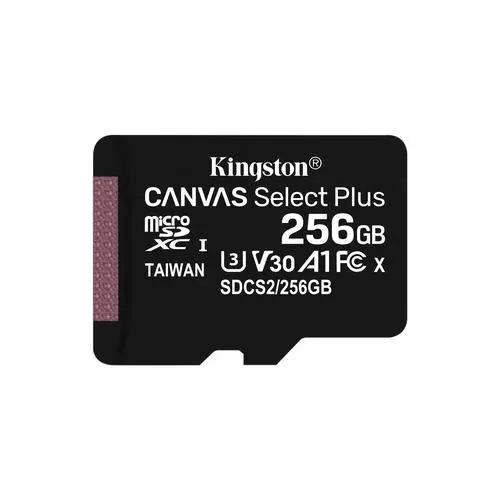 V30 Canvas Select Plus 256GB MicroSDXC class 10 U3