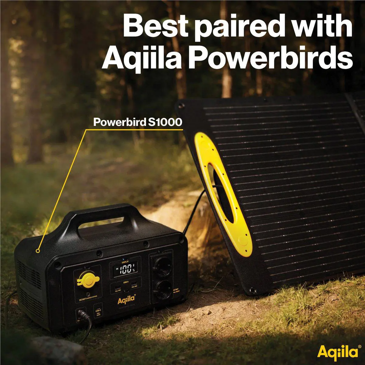 Aqiila Sunbird P100 Solarmodul 100W