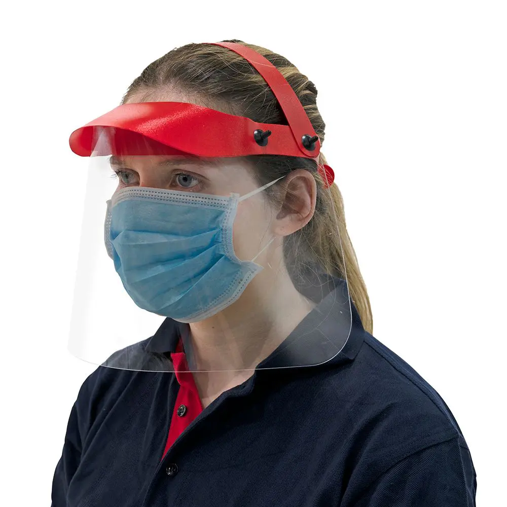 Face shield